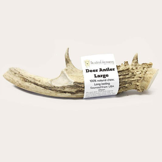 Tuesday's Natural Dog Company Deer Antler